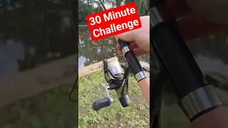 30-minute lunch break fishing challenge 🎣