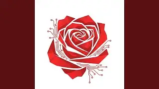 Rose of Passion