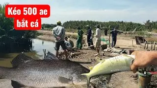 Tháo đùng,500 ae bắt toàn cá khủng 
