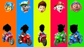 📹 Wrong eyes👀 PAW Patrol Chase Is On the Case Rescues Skye & Marshall Dame Tu Cosita