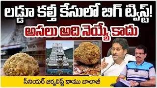 లడ్డూ కల్తీ కేసులో బిగ్ ట్విస్ట్! అసలు అది నెయ్యే కాదు| Tirumala Ghee Case | Ys Jagan | Red Tv