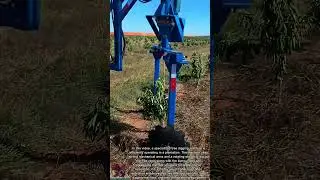 How to Dig a Tree Fast || Tree Removal Equipment
