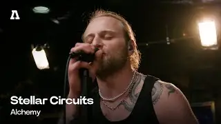 Stellar Circuits - Alchemy | Audiotree Live