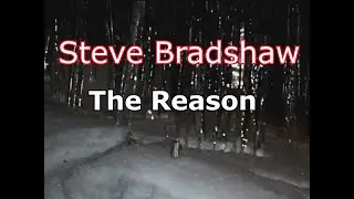 Steve Bradshaw -The Reason