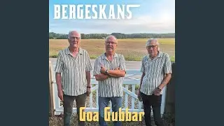 Vi e' goa gubbar allihop