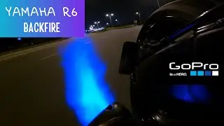 YAMAHA R6 Backfire, Downshifts, Quick Shifter (Pure Sound)