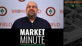 Soybeans and corn continue to watch weather in South America: Market Minute for 1/30/23