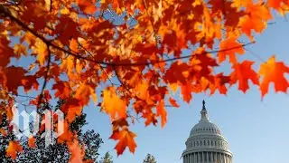 Mini 'blue wave': Democratic success in statewide races