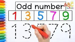 Learn about odd and even numbers with your playground friends | Preschool for Children with Teachers