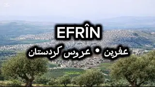 Efrîn — Bûka Kurdistanê 🌿 | Koma Ornina | Dengê Efrîn | Stranên Kurdî | عفرين عروس كردستان