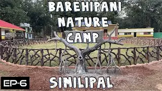 BAREHIPANI NATURE CAMP SIMILIPAL| BAREHIPANI SIMILIPAL |#barehipaninaturecamp #similipal #oyeodisha