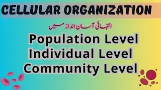 |Individual level Animation|9th Biology at the Individual Level: Chapter 1|Biosphere animation|9th
