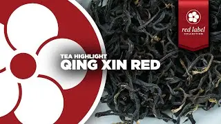 QING XIN RED - Our New Red Label Black Tea