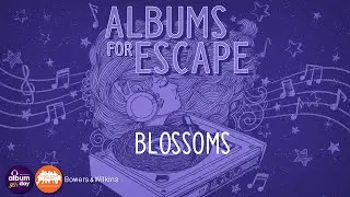 Albums for Escape: Blossoms for Classic Album Sundays and National Album Day