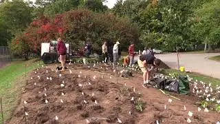 Pollinator Garden Installation 20221010
