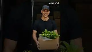 Move your green babies safely with Moveroo