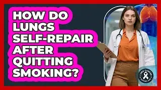 How Do Lungs Self-repair After Quitting Smoking? - Lung Cancer Support Hub