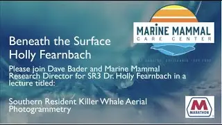 Beneath The Surface: Southern Resident Killer Whale Aerial Photogrammetry
