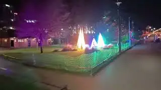 A Late Night Christmas Adventure Through Bournemouth Gardens With Friends