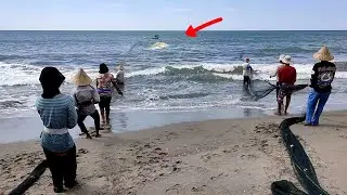 Wow, Proses Tarik Pukat Pantai Tradisional Dapat GT LAUT ACEH