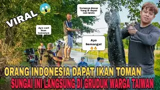 GEGER DAPAT IKAN TOMAN BABON SUNGAI INI DI GERUDUK WARGA TAIWAN