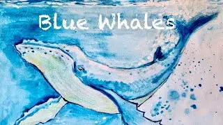 10 interesting facts about blue whales