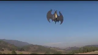 Micro RC Batwing