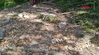CHANSHAL PASS || CHANSHAL HIGHLIGHTS || UNEXPLORED PLACES OF CHANSHAL PASS || CHANSHAL NIVAASEE ||