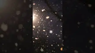Falling Snow in Slow Motion ❄️ | Calm Winter Aesthetic #shorts