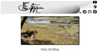 Trails: Not Hiking | Alpacamade