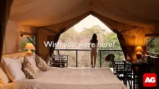 Wish you were here? Come on safari with Africa Geographic