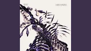 Wired Euphoria