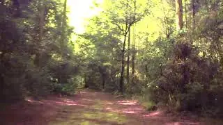 Cedar Point Perserve in Jacksonville, Florida part 2