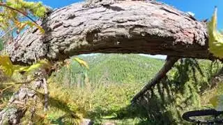Od Veselého výletu na Aichelburg