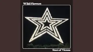 Stars of Vienna