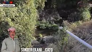 Sukri Rekani Cato شكر ريكانى چه تو