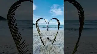 blek.bayst@@@@@@@@@@@@@@@@@@@@@@@@