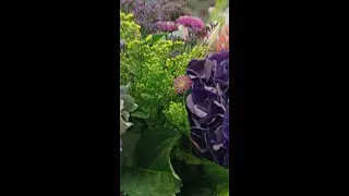 Bigster in Biggar - Secret Garden