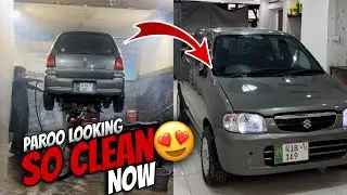 Paroo&rsquo;s First Wash After a Long Journey! &hearts;️ | 12 Octobar (3pm) Opening Date