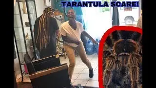 REAL TARANTULA PRANK! (EXTREME FREAKOUT)