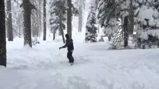 Jojo on his mini snow board Yosemite 1/31/2016