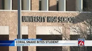 Coral snake bites student