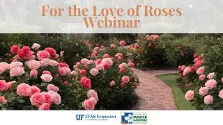 Webinar: For the Love of Roses