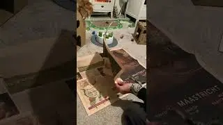 Cat Breaking News