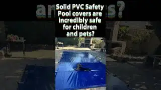 How to Protect your children and pets!