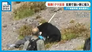 クマが観光客を襲う9人重軽傷の惨事 ジョギング中の男性が襲われたことも 東海地方の「クマ被害」過去にも