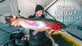 Sight Fishing HUGE Rainbow Trout On The Ice!!!