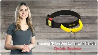 Nylon Dog Collar with Handle and Quick Release Buckle - Review