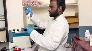 HBA1C Test for 3Months Average Blood Suger using Finecare Rapid Test
