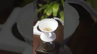 Morning feels! #coffee #sustainablecoffee #pourovercoffee #coffeeculture #coffeehouse #coffeelover